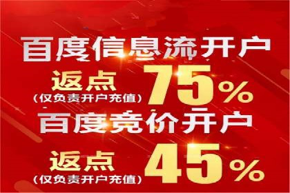 百度平台推广：成功案例解析与效果分析